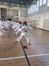 Fumitoshi Sensei in 2022 seminar